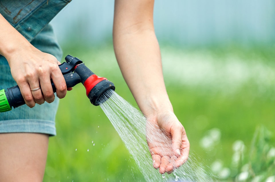 Spraying Your Lawn