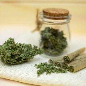 pre-rolls cannabis